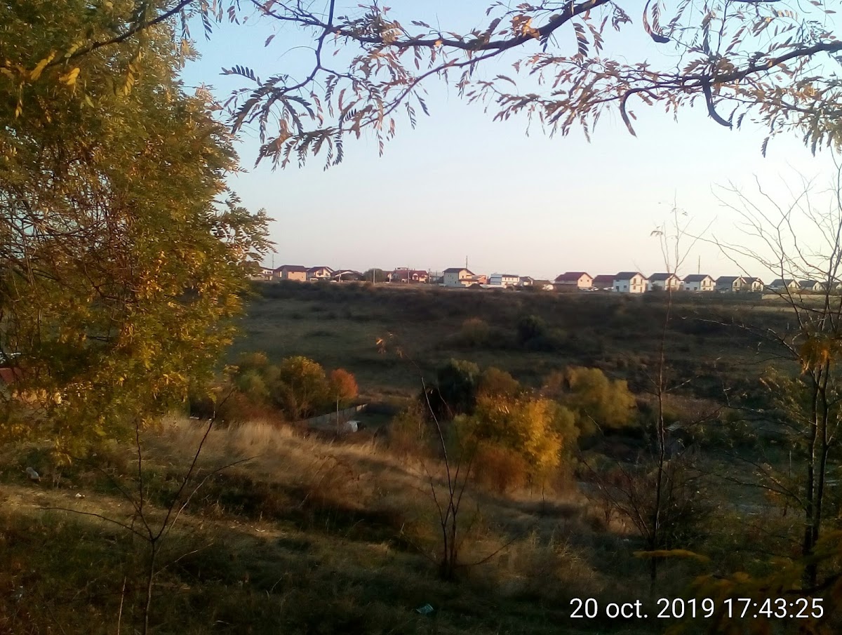 Geamăna Mică