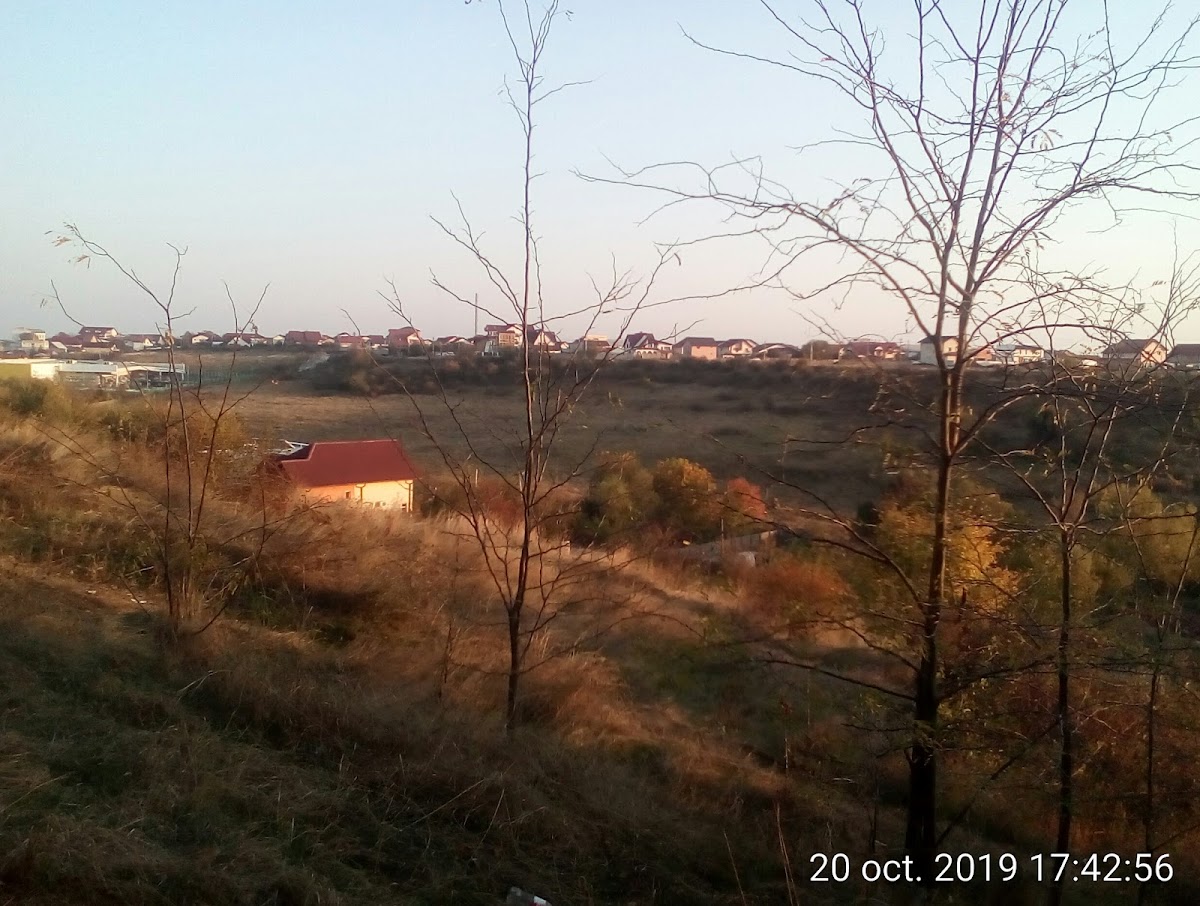 Geamăna Mică - foto 4