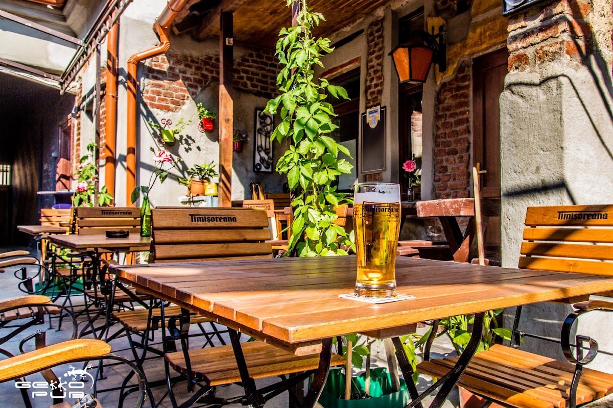 Gekko Pub & Banya Klub, Oradea