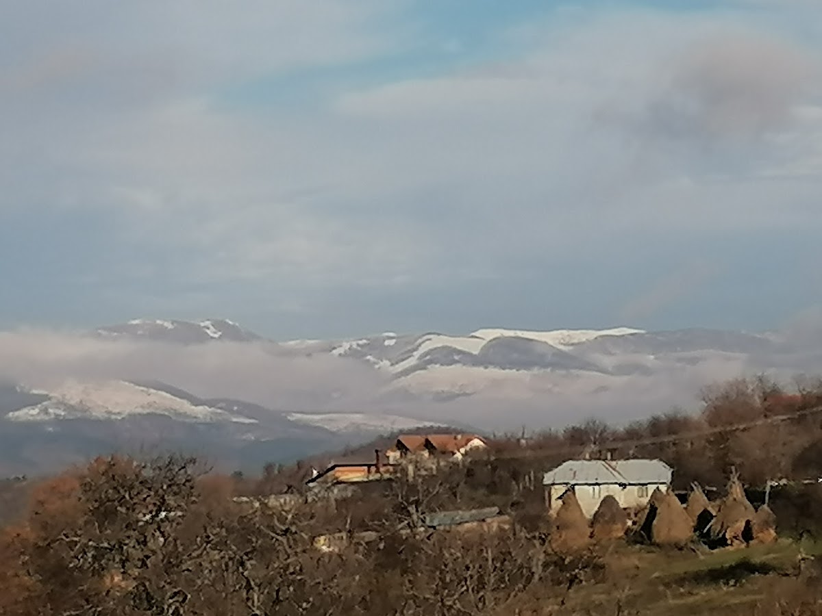 Cireşu