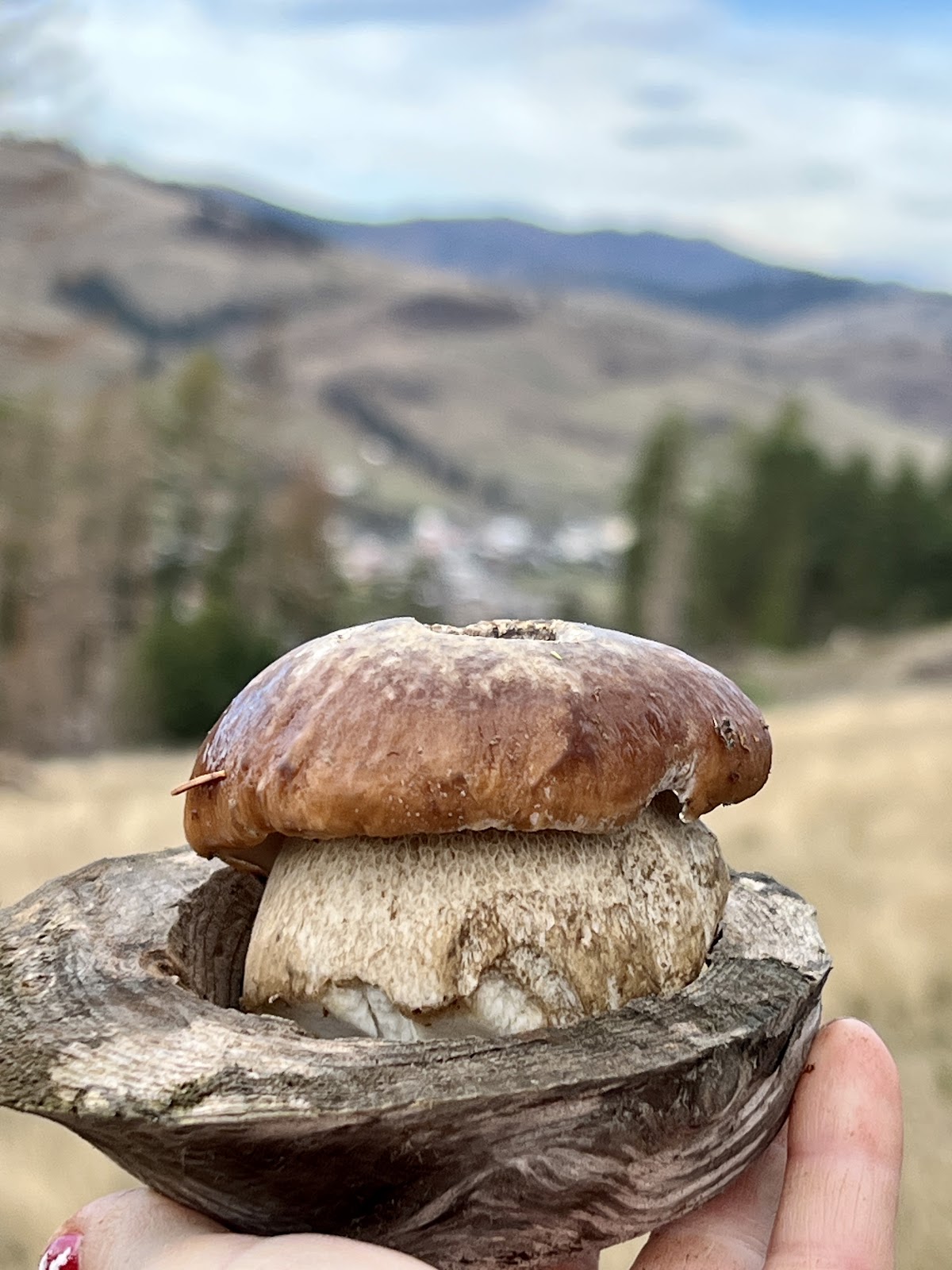 Mirador Gingioaia - foto 4