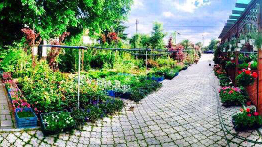 Gloriosa Garden S.R.L.