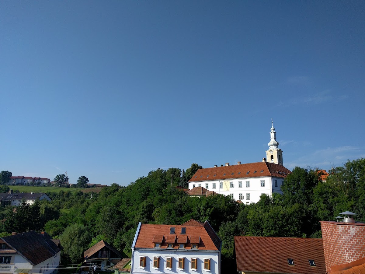Gondűző