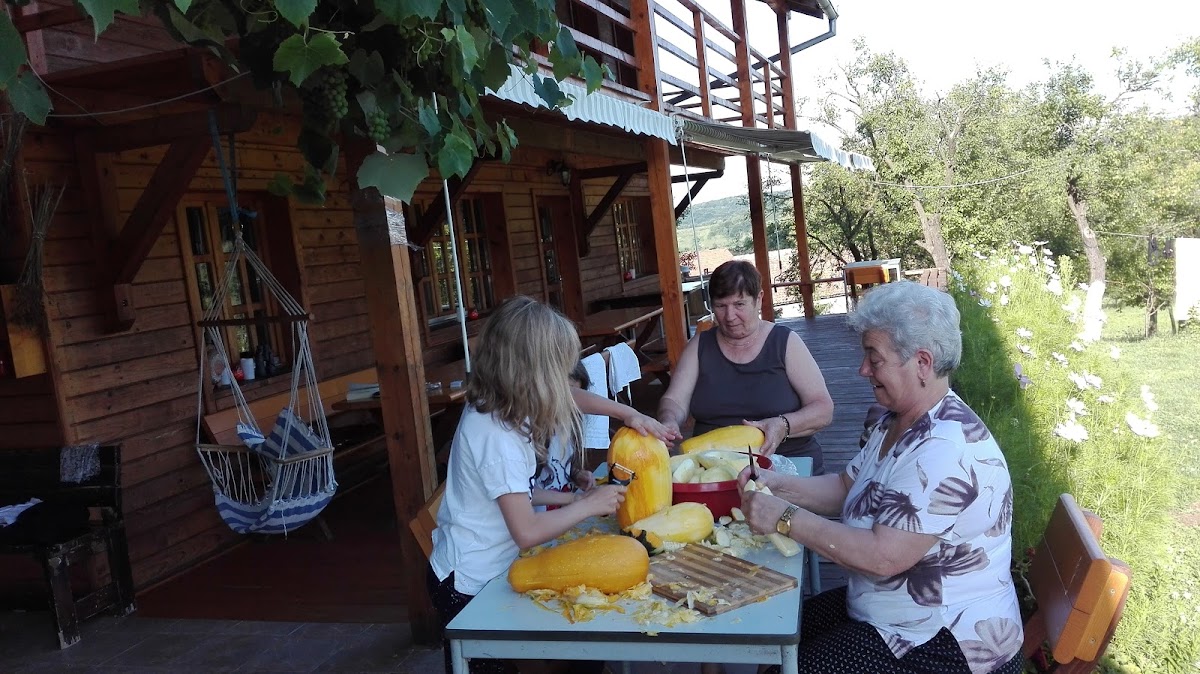 Gospodaria Bio-Haus - foto 5