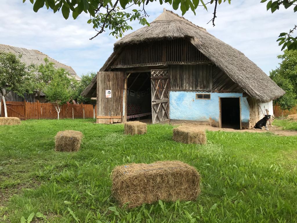 Gospodăria Codrenească Chilia - foto 2