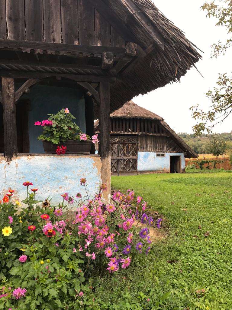 Gospodăria Codrenească Chilia - foto 3