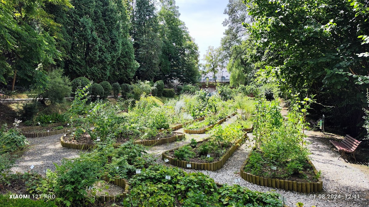 Grădina Botanică, Târgu Mureş