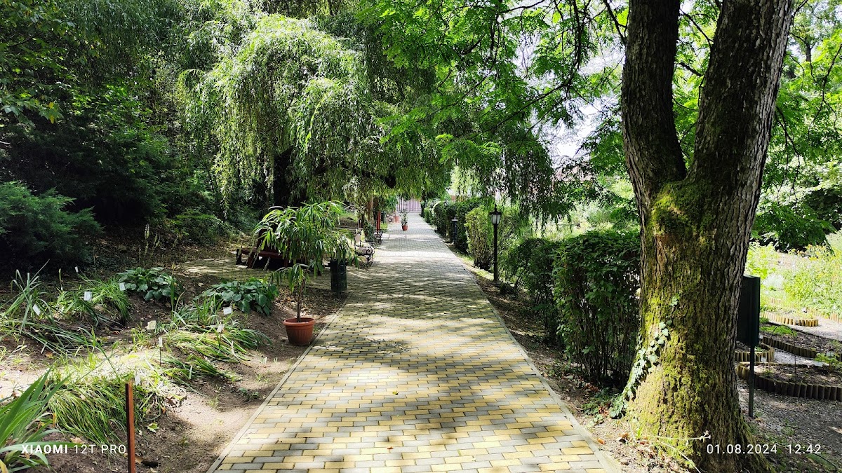 Grădina Botanică - foto 2