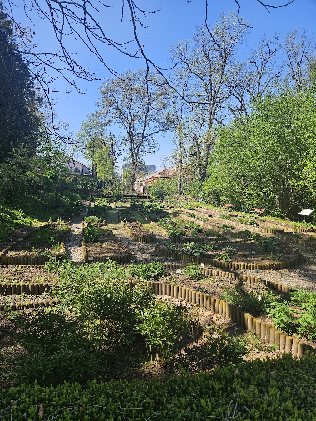 Grădina Botanică - foto 3