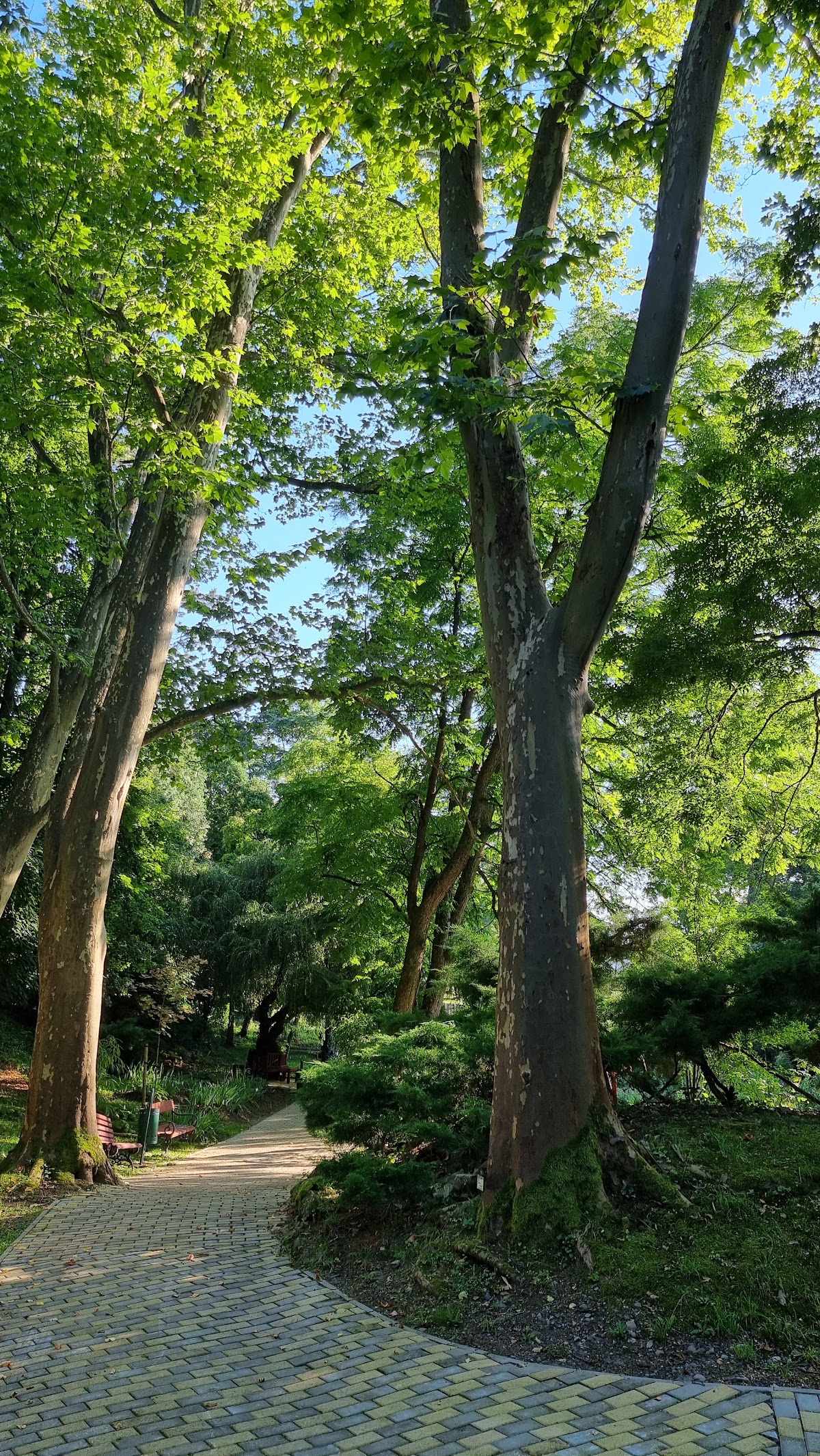 Grădina Botanică - foto 4