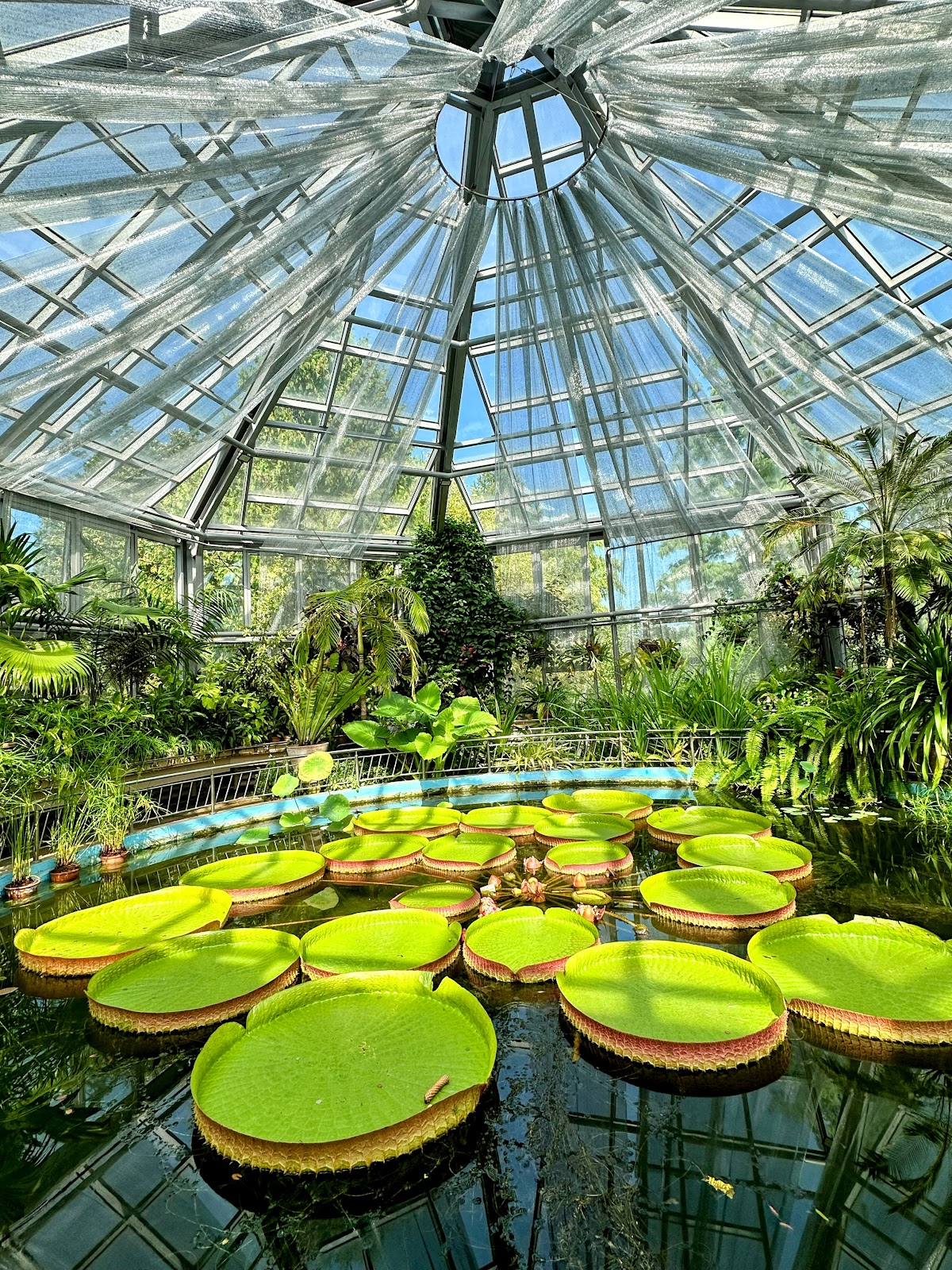 Alexandru Borza Botanical Garden - foto 1