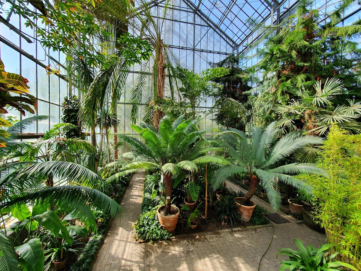 Alexandru Borza Botanical Garden - foto 3