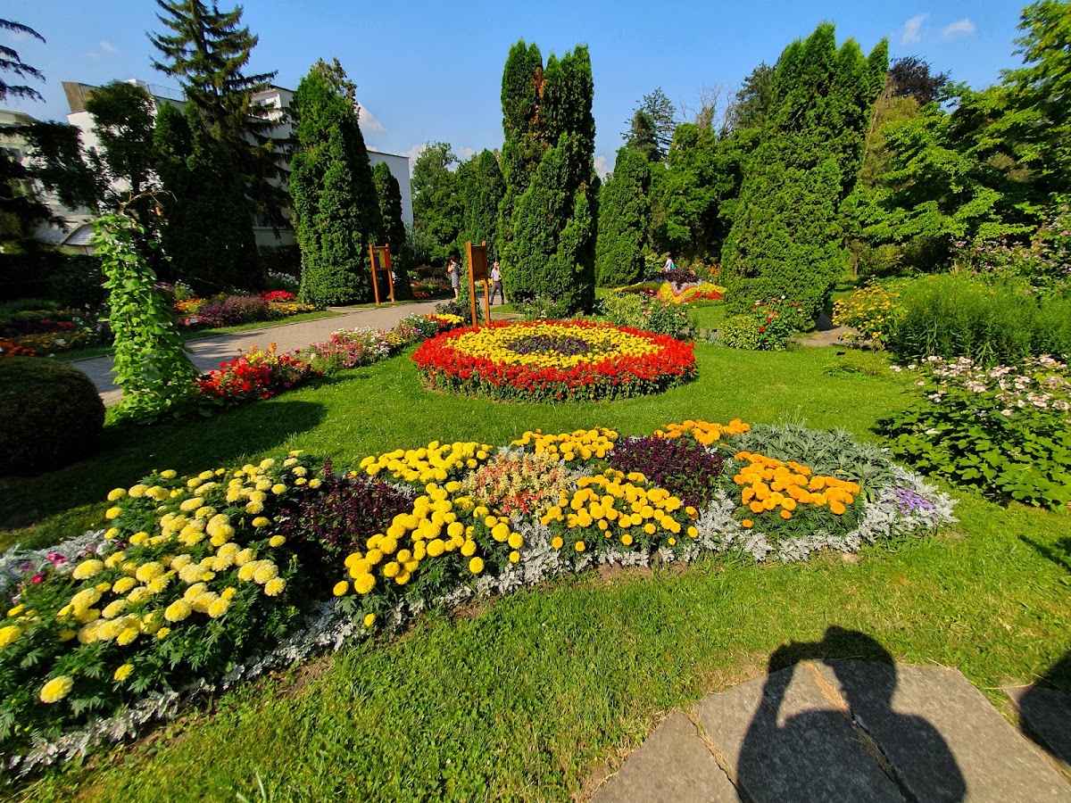 Alexandru Borza Botanical Garden - foto 4