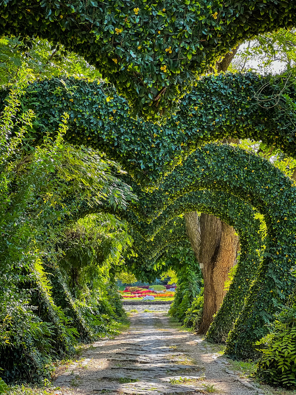 Grădina Botanică "Alexandru Buia" - foto 3