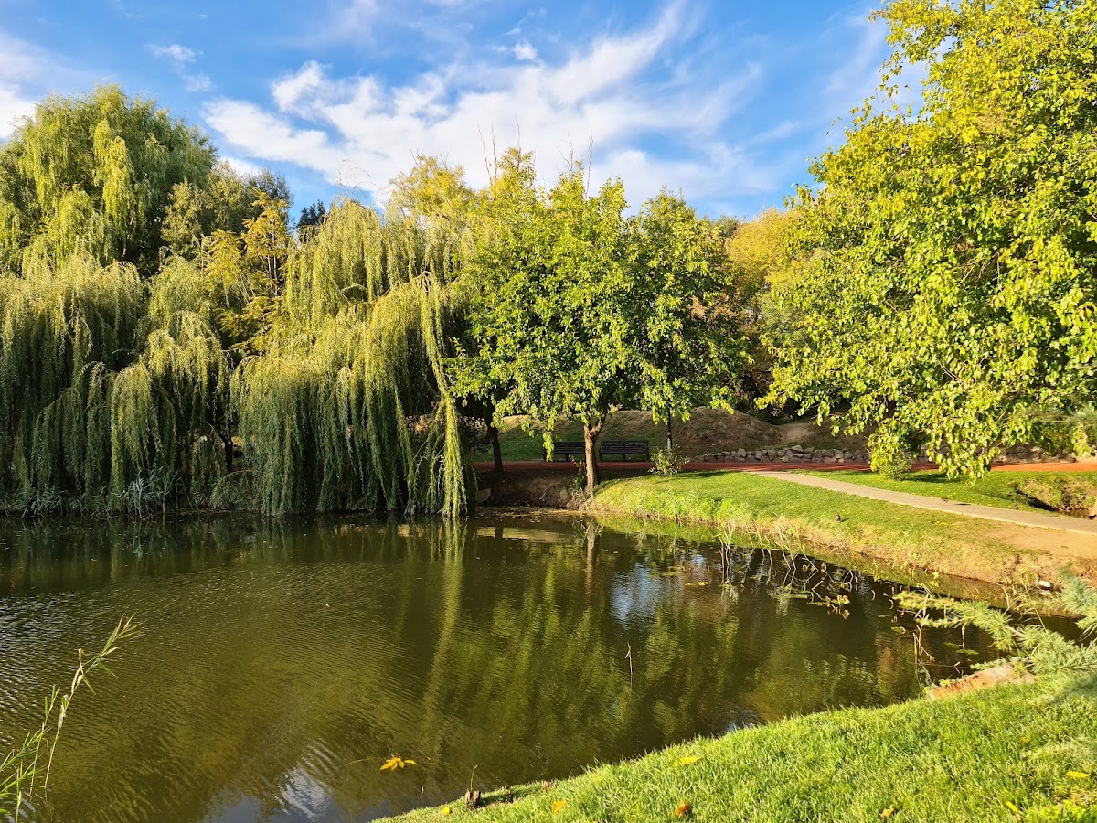 Grădina Botanică "Alexandru Buia" - foto 4