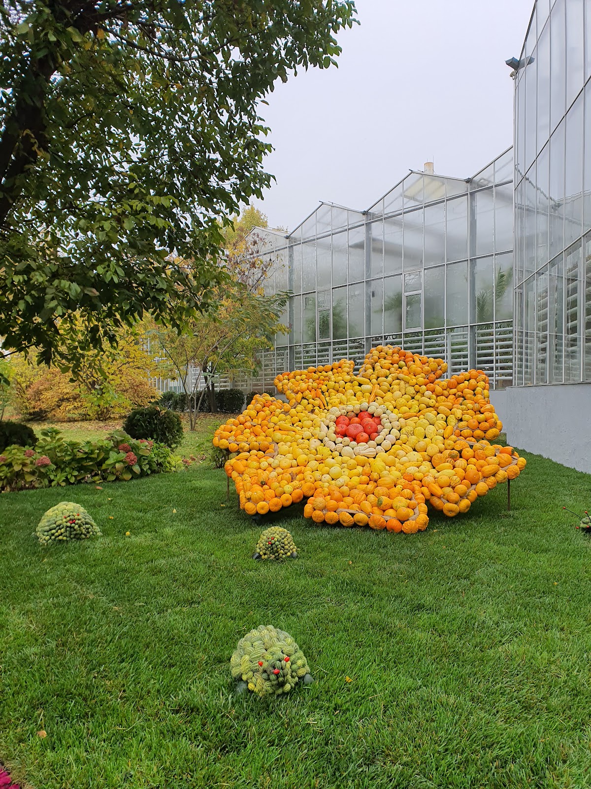Grădina botanică "Anastasie Fătu"