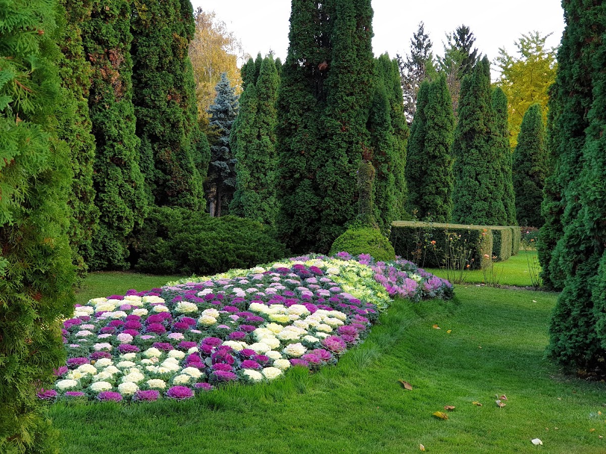 Grădina botanică "Anastasie Fătu" - foto 3