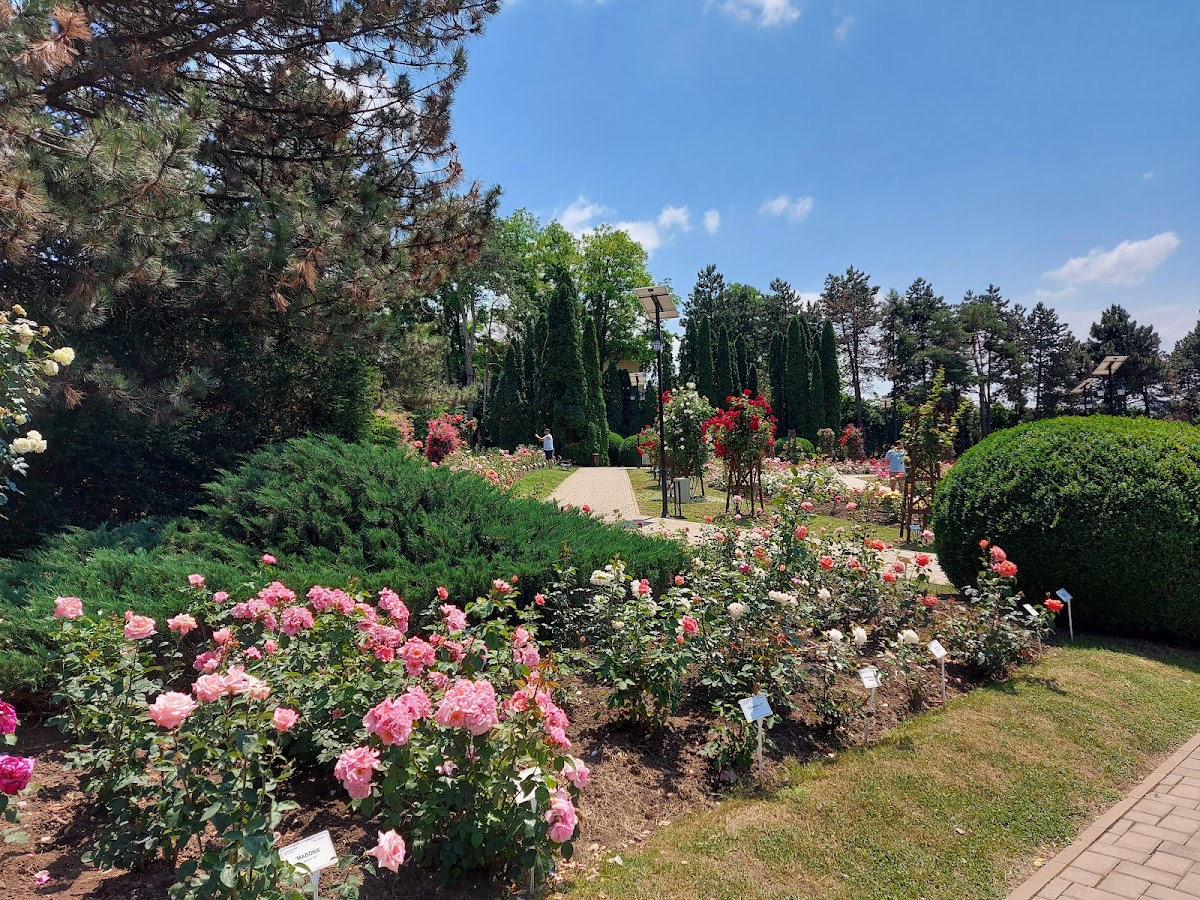 Grădina botanică "Anastasie Fătu" - foto 4