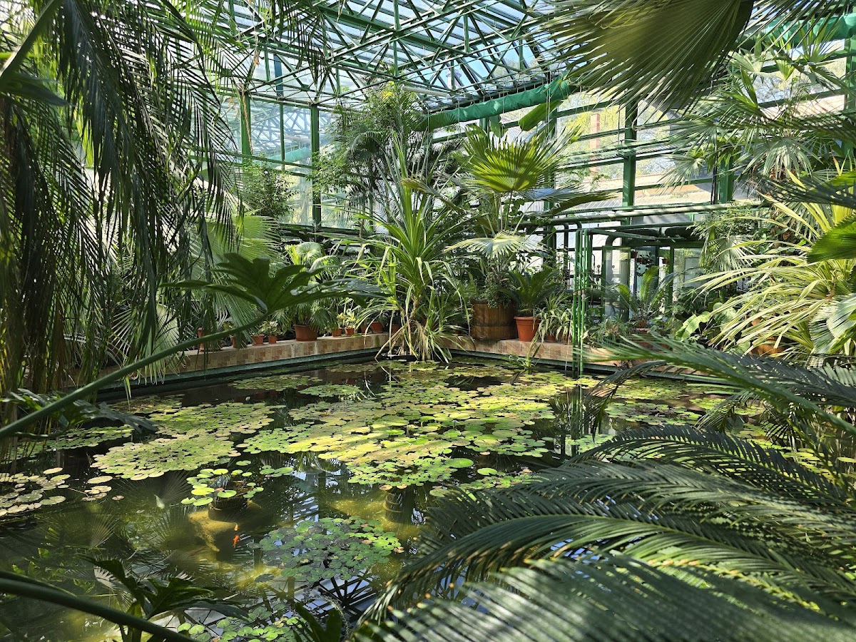 Grădina Botanică „Dimitrie Brândză” - foto 2