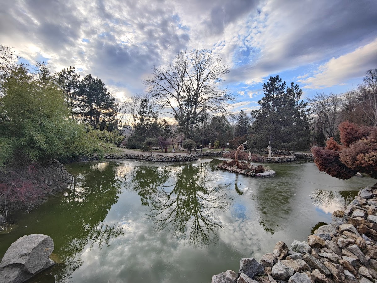 Giardino Botanico di Galați - foto 2