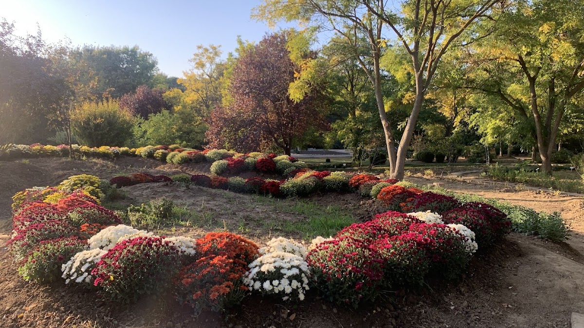 Giardino Botanico di Galați - foto 4