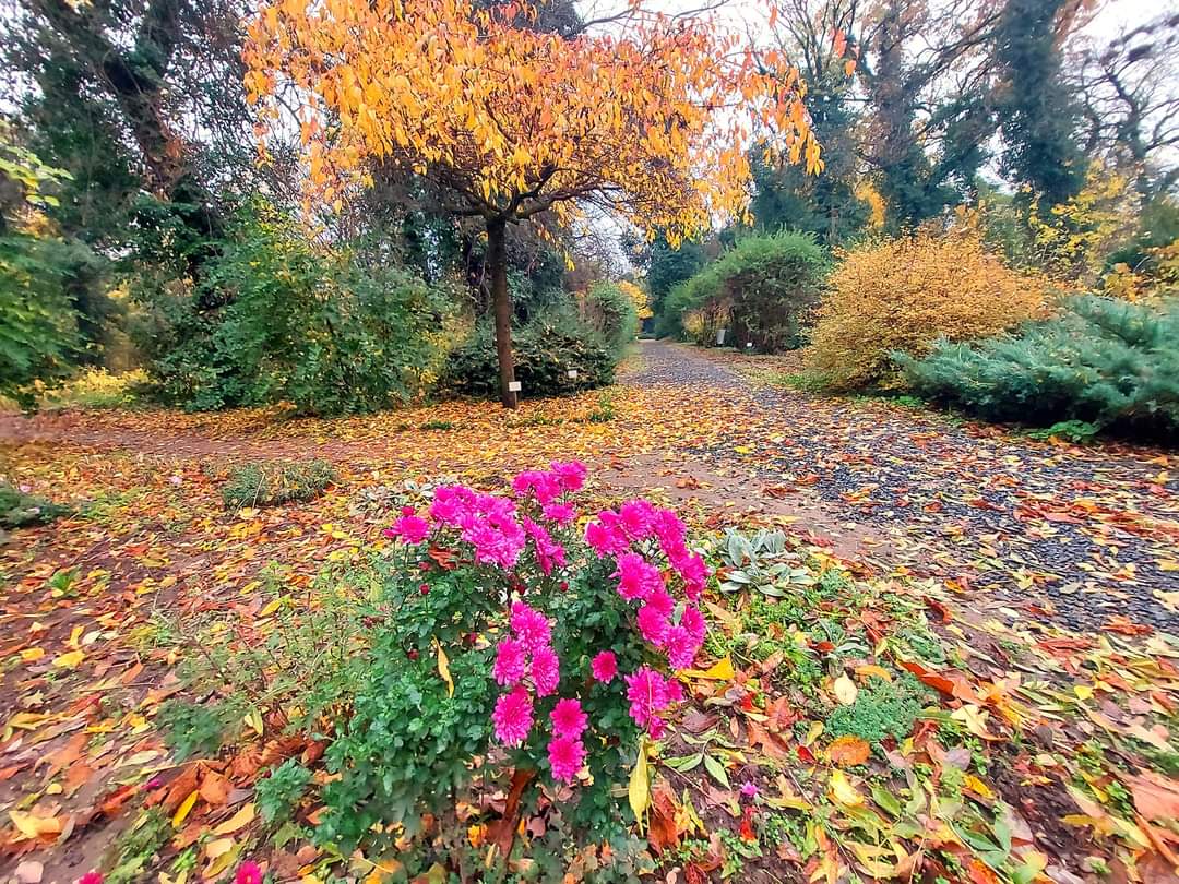 Grădina Botanică Macea - foto 2