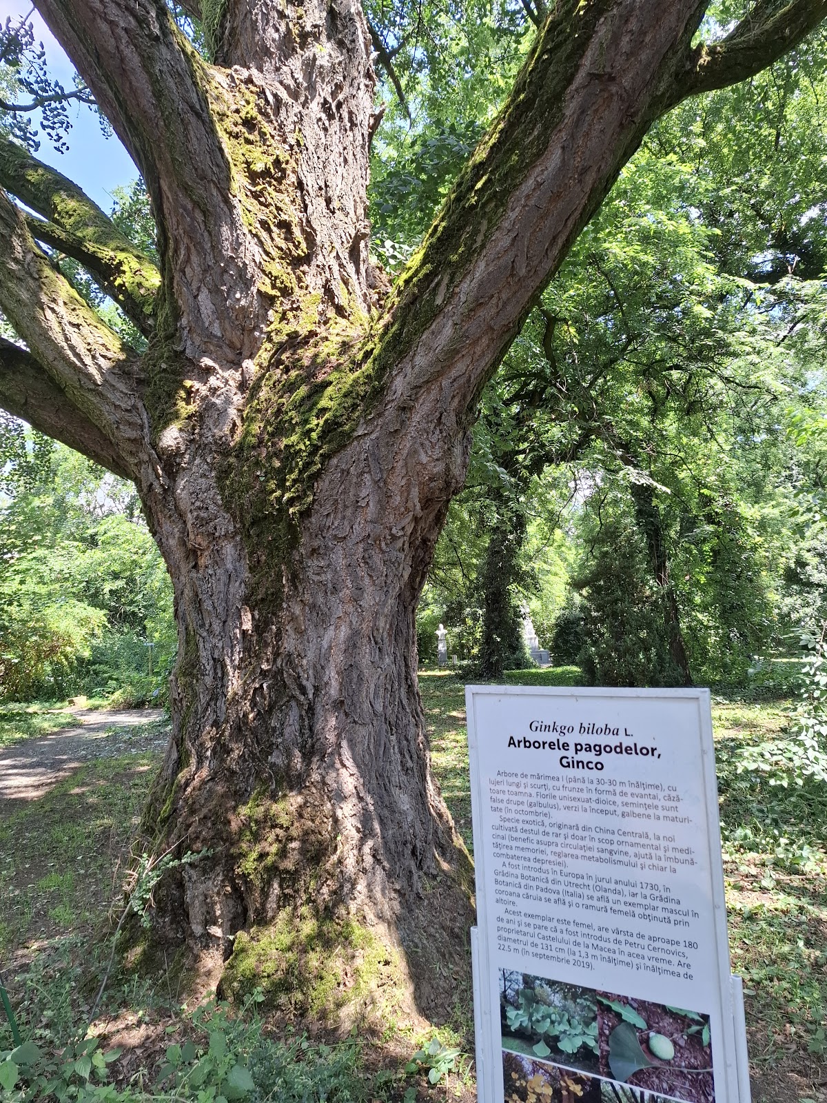 Grădina Botanică Macea - foto 3