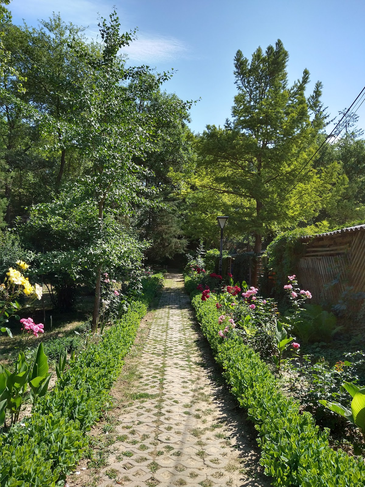 Grădina Botanică Paul Țarălungă