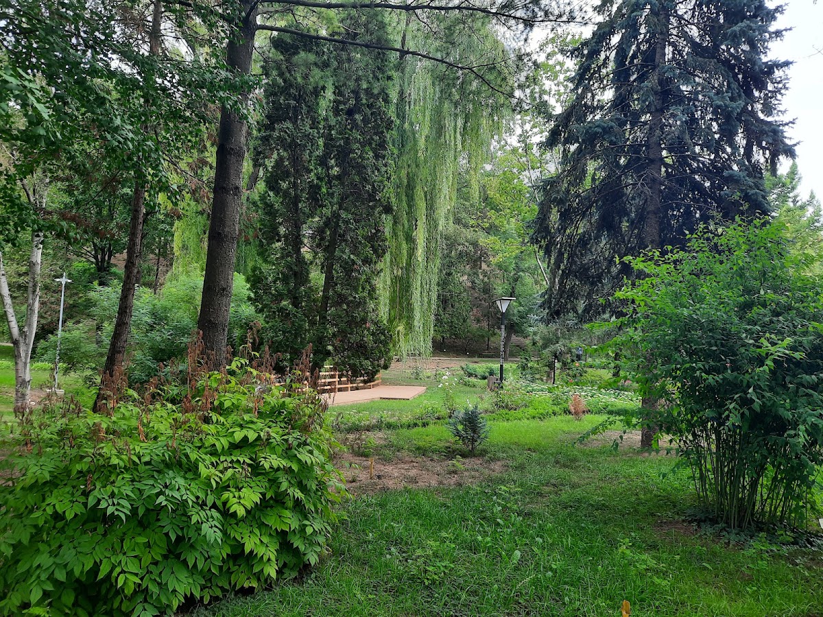 Jardin Botanique Paul Țarălungă - foto 2
