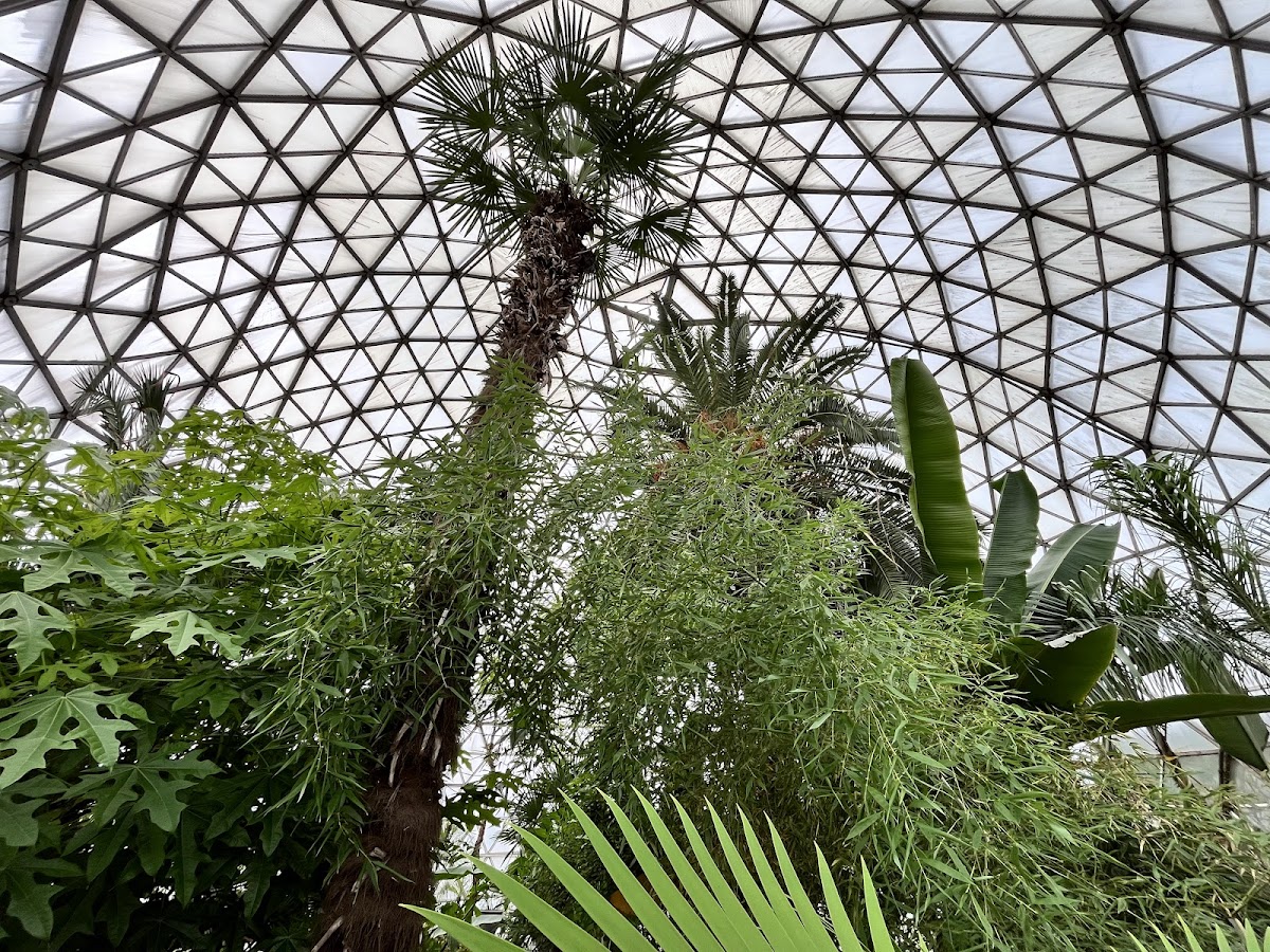 Grădina Botanică „Vasile Fati” din Jibou - foto 2