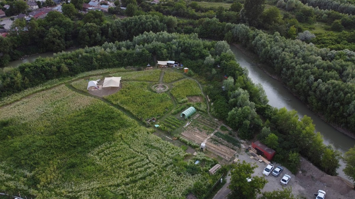 Gradina Comunitara Buruiana