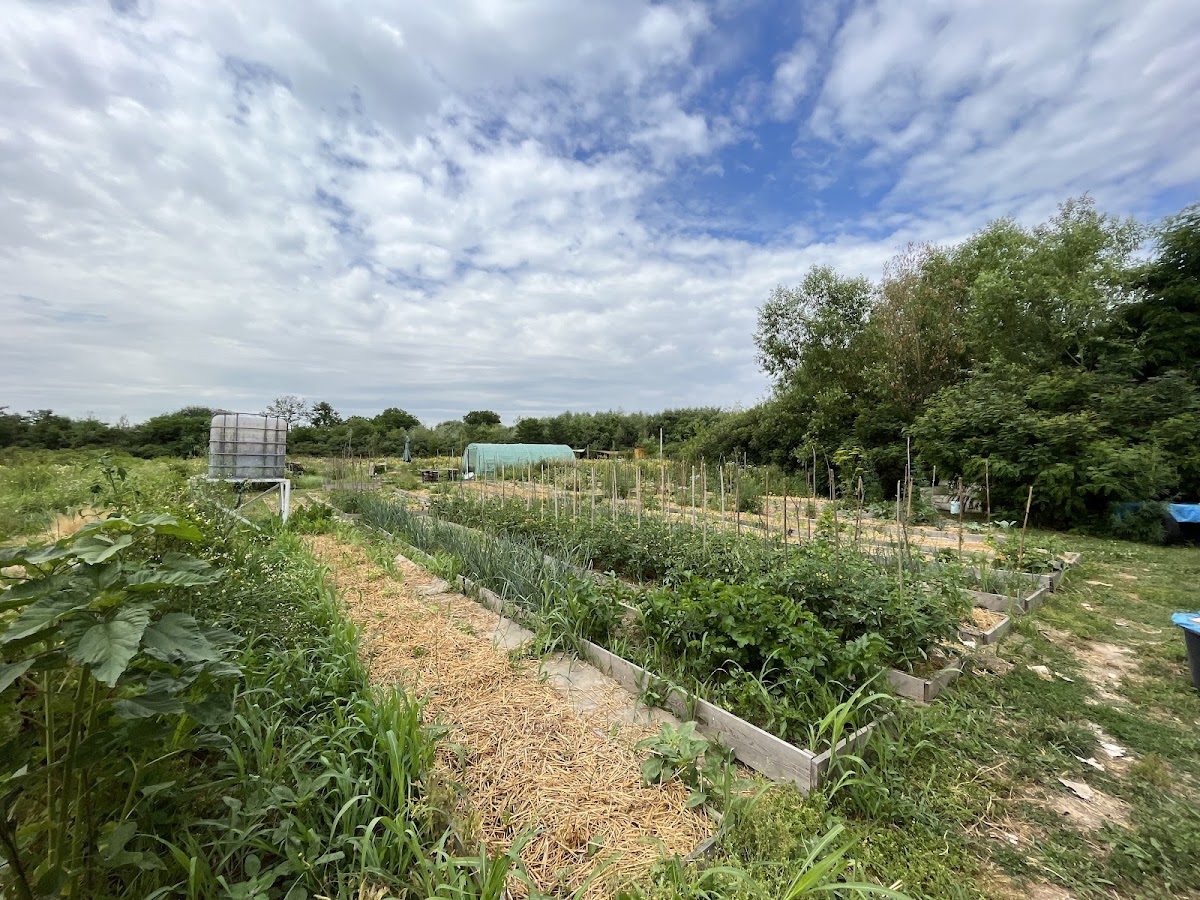 Jardin Communautaire Buruiana - foto 3