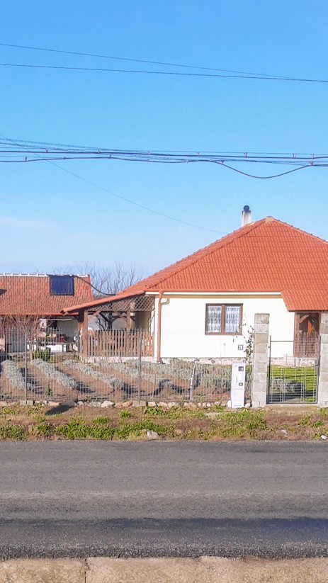 Grădina cu lavandă - foto 4