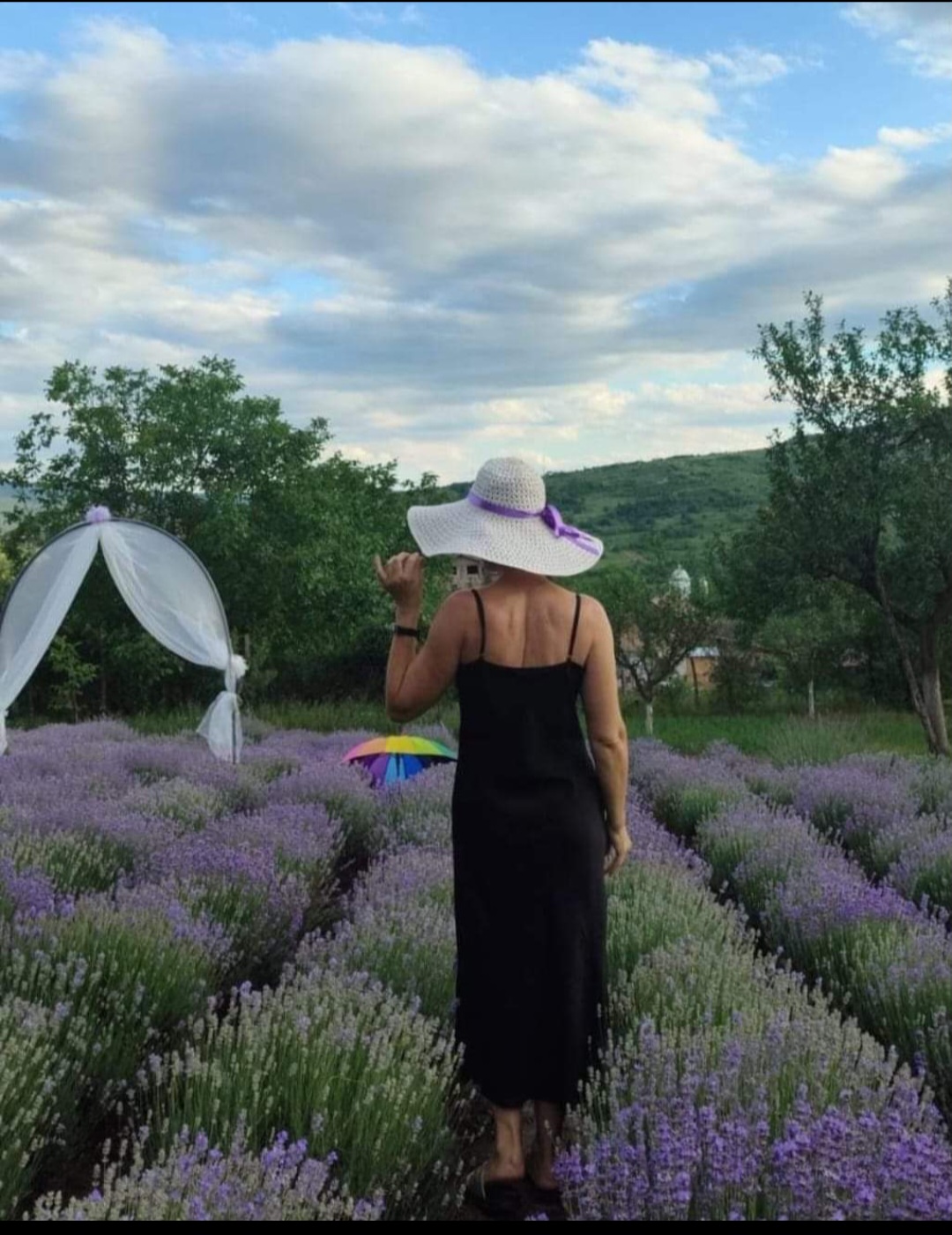 Grădina Cu Lavandă 💜🪻-Lunca Frumoasă ,Buzău