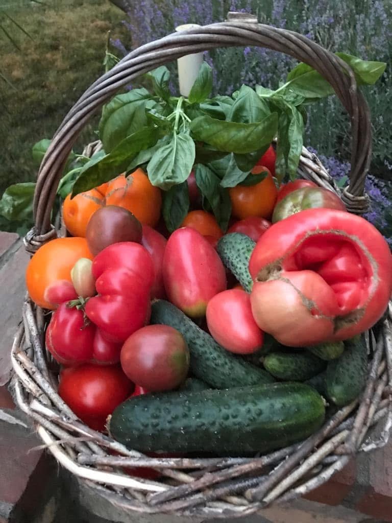 Giardino di Verdure Nisiporești - foto 2