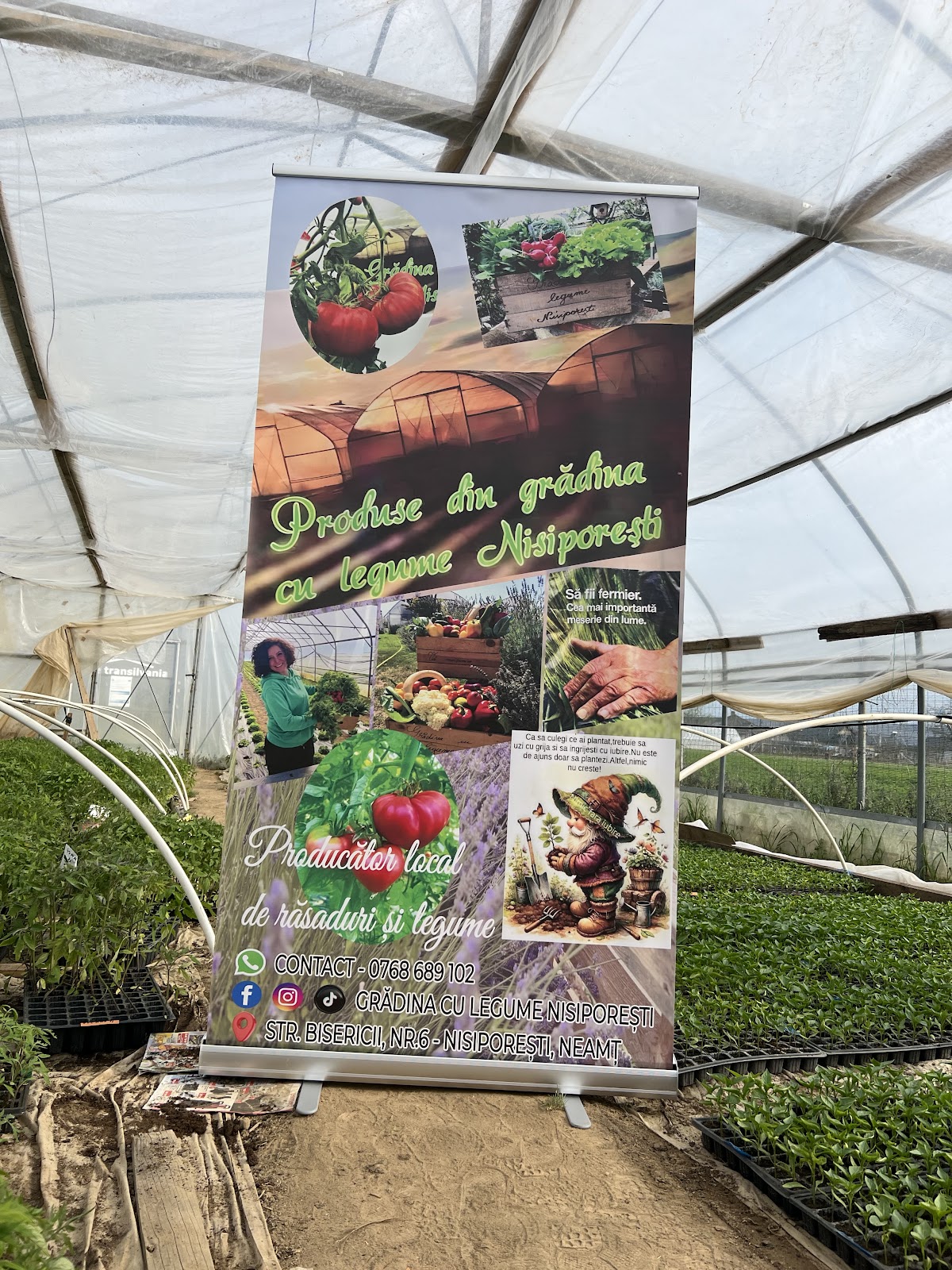 Giardino di Verdure Nisiporești - foto 3