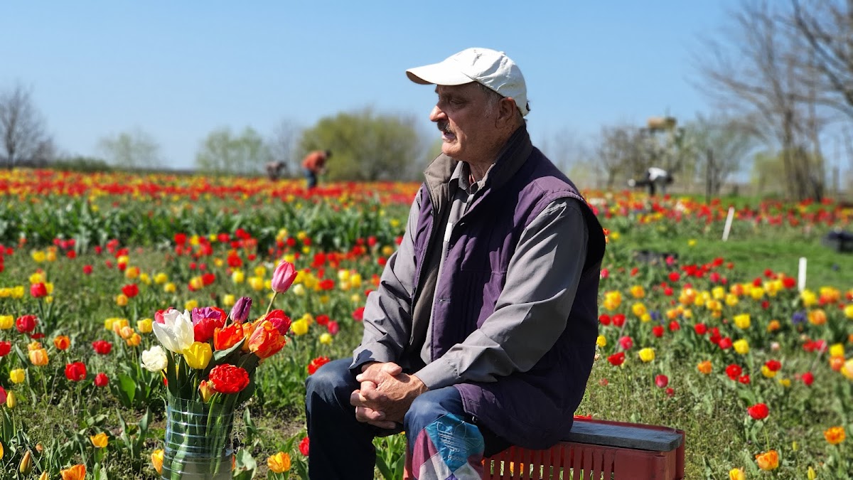 Grădina de Lalele - foto 4