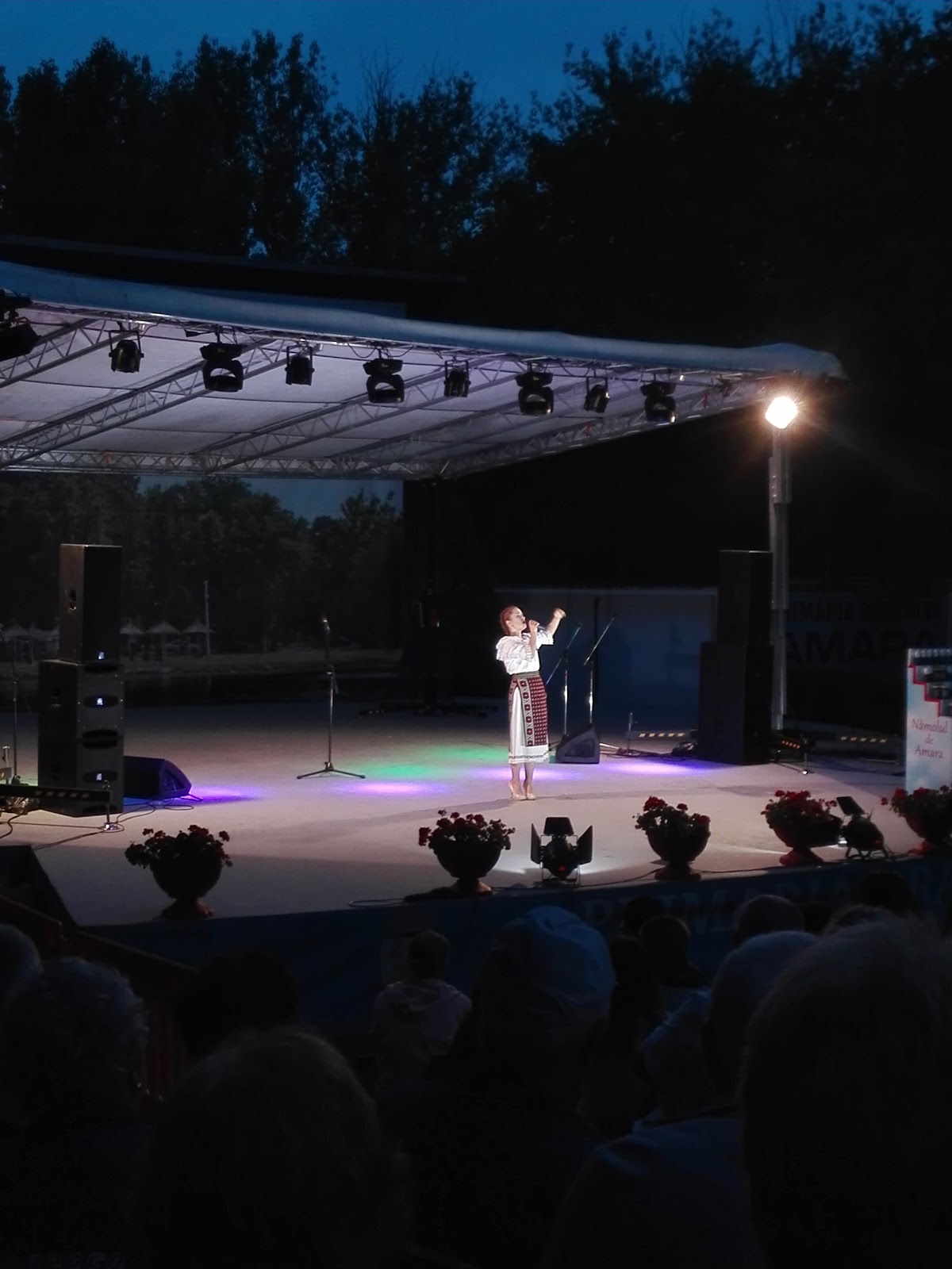 Gradina De Vara Amara - foto 4