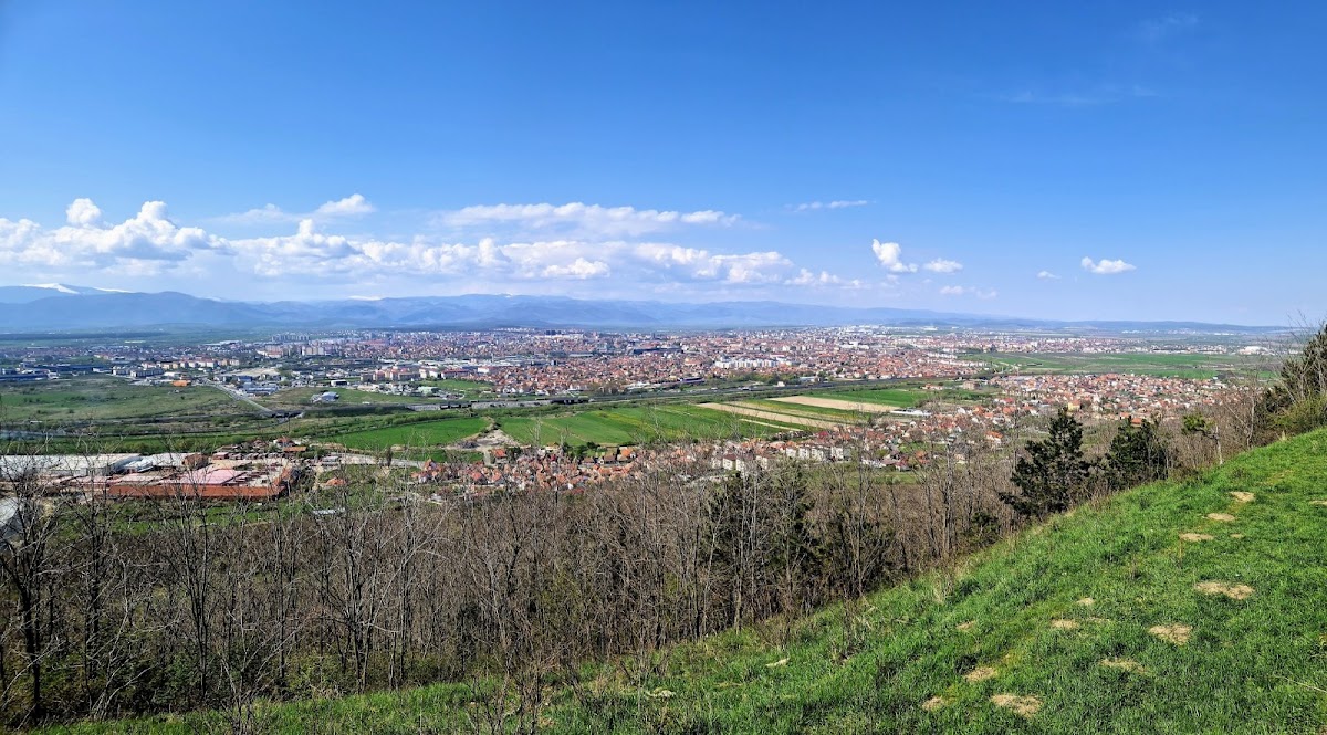 Grădina Ecologică Gușterița