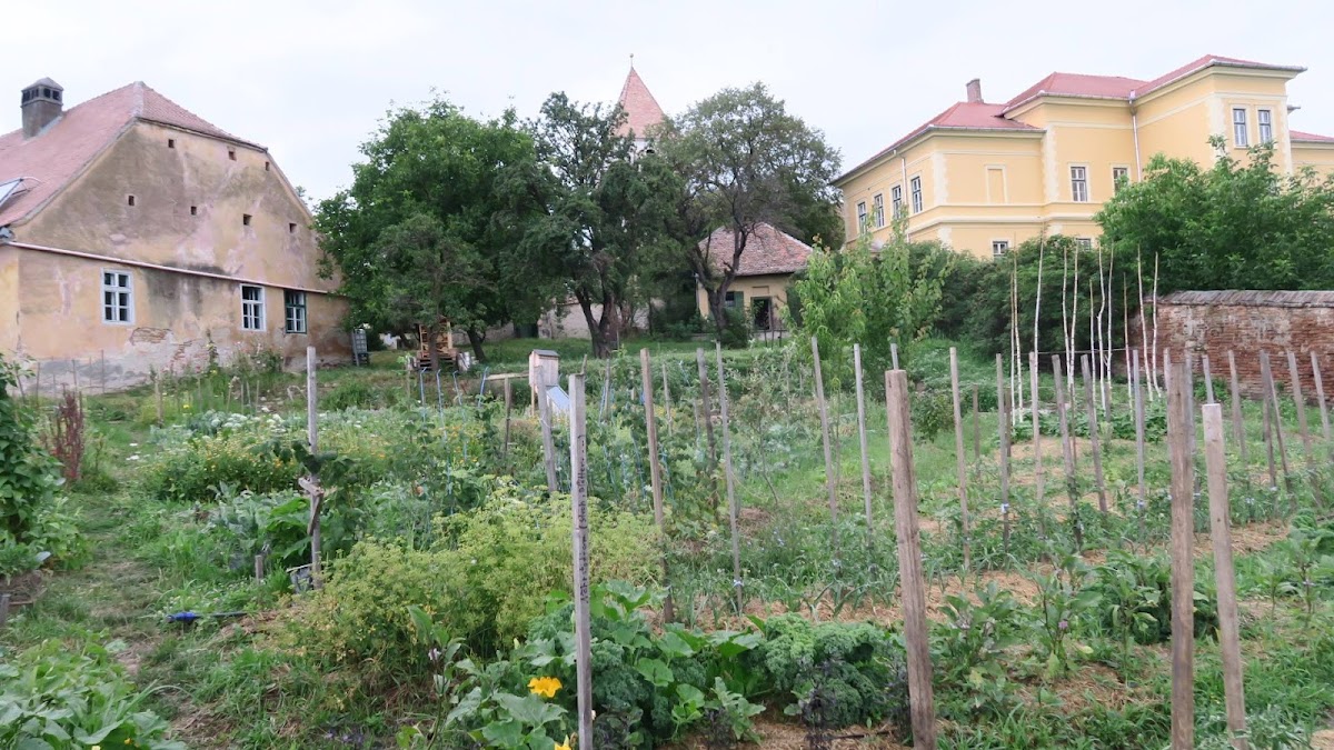 Gușterița Ecological Garden - foto 3