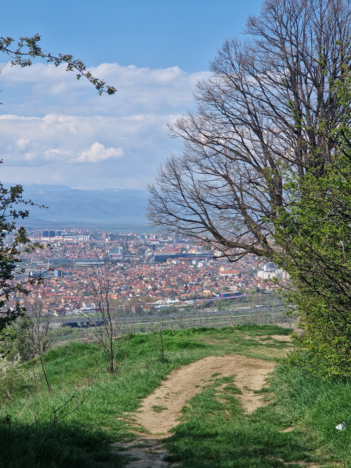Gușterița Ecological Garden - foto 4