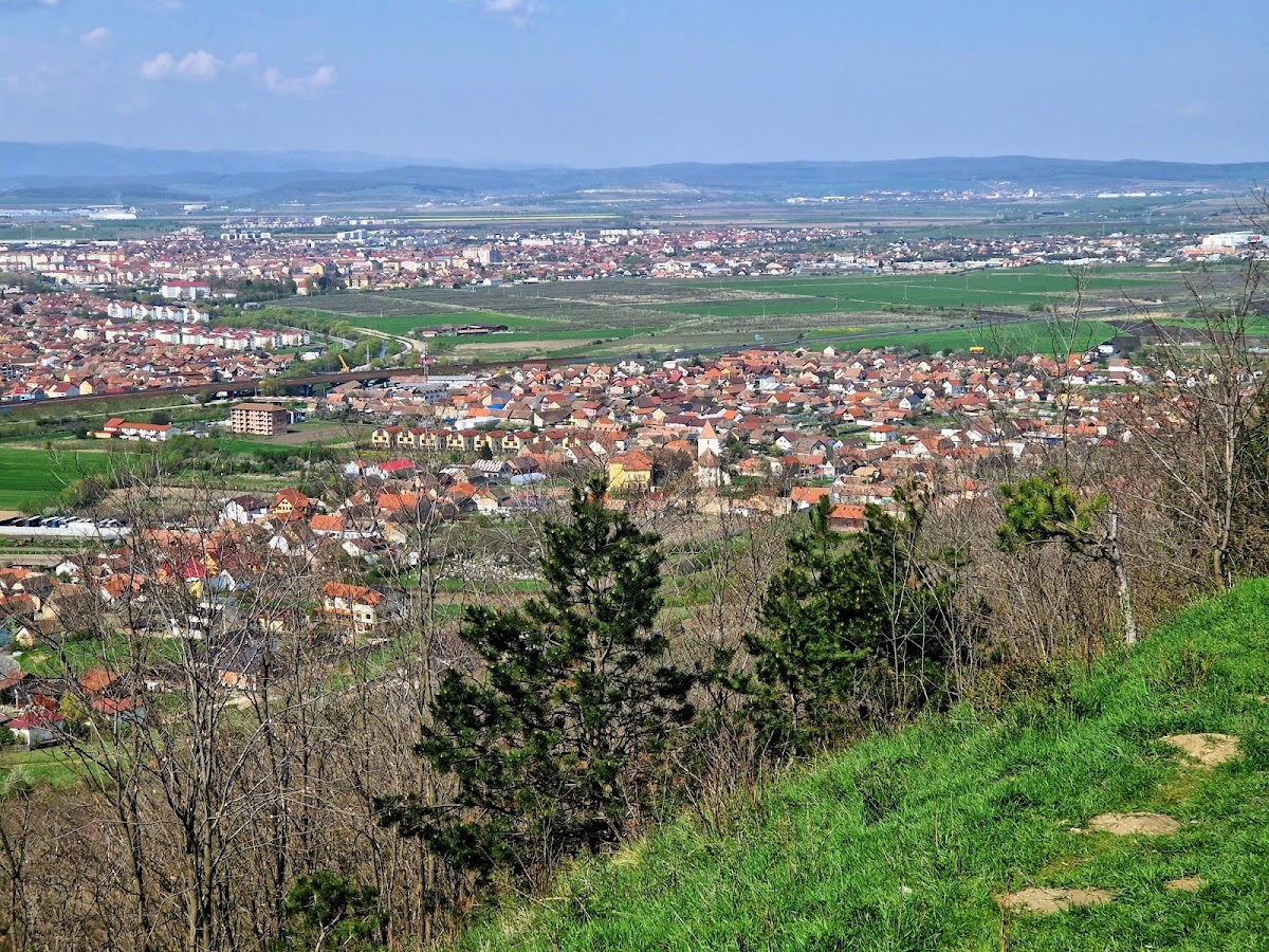 Gușterița Ecological Garden - foto 5