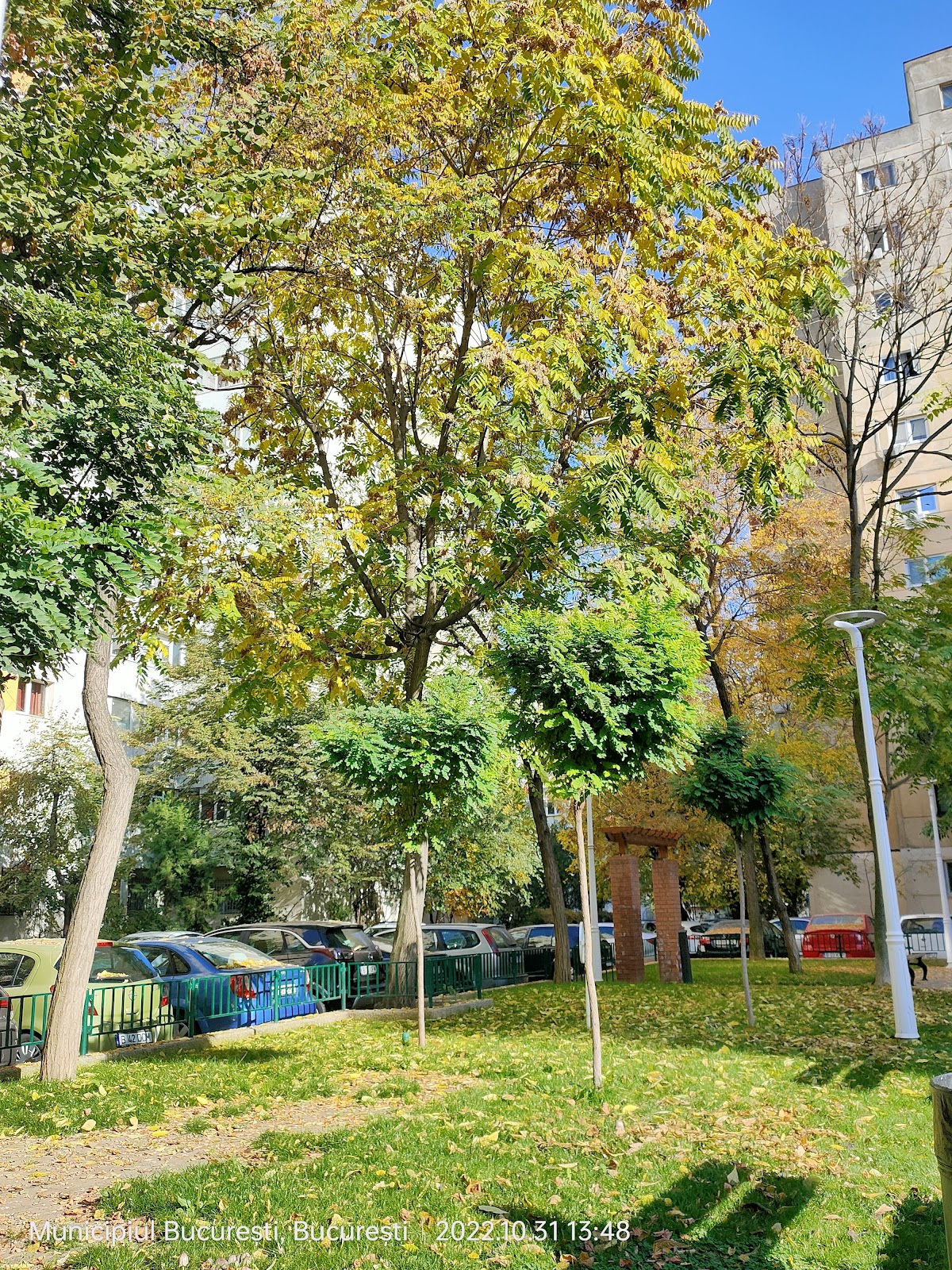 Giardino Inglese