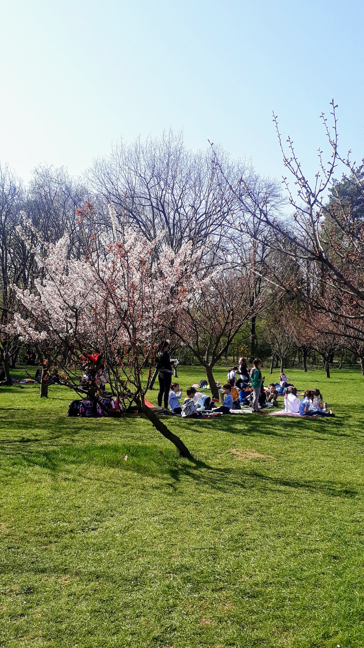 Grădina Japoneză - foto 3