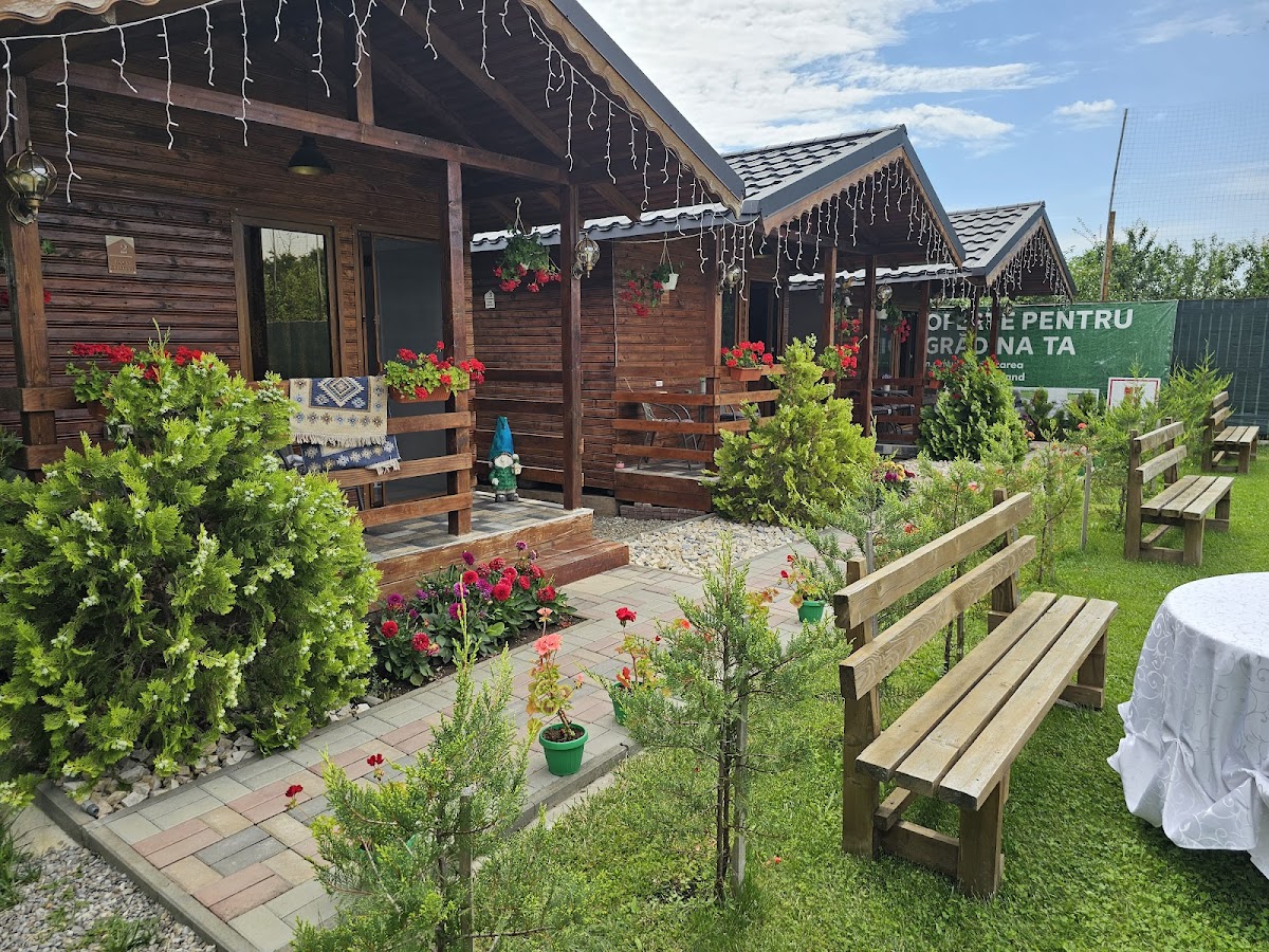Gradina La Cristian