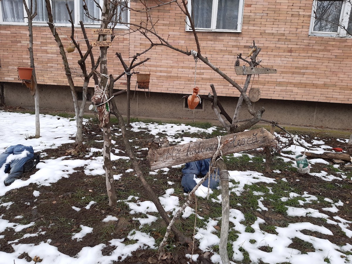 Gradina lui Sorin Patca, Oradea