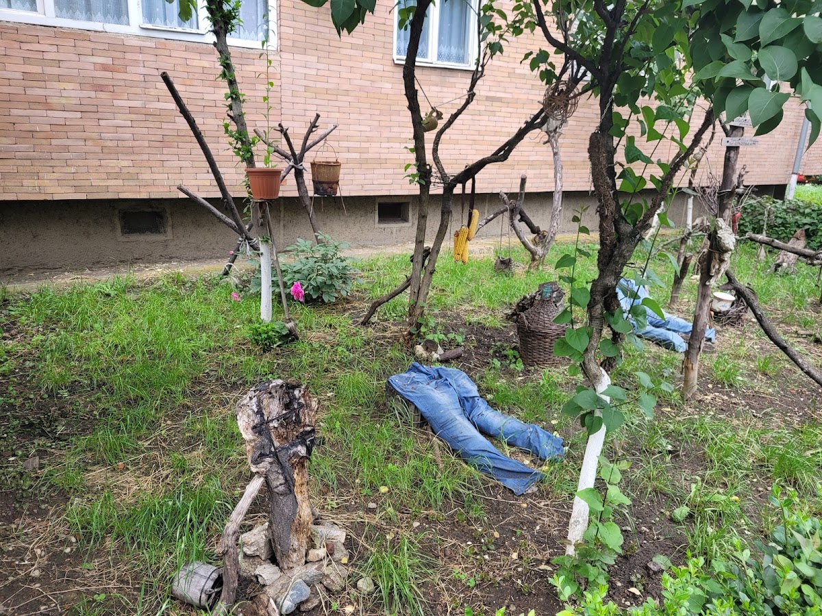 Sorin Patca's Garden - foto 2