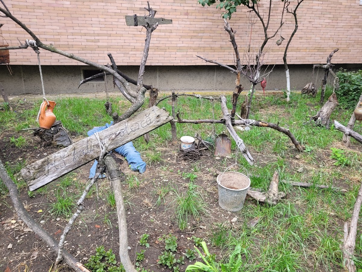 Sorin Patca's Garden - foto 3