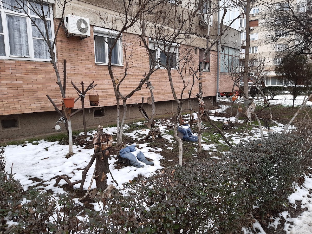 Sorin Patca's Garden - foto 4