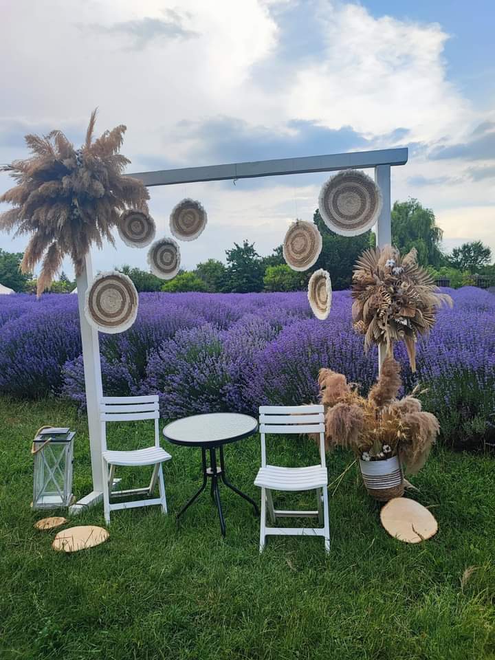 Lavender's Magic Garden - foto 4